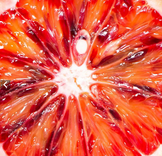 Blood Orange Vinaigrette