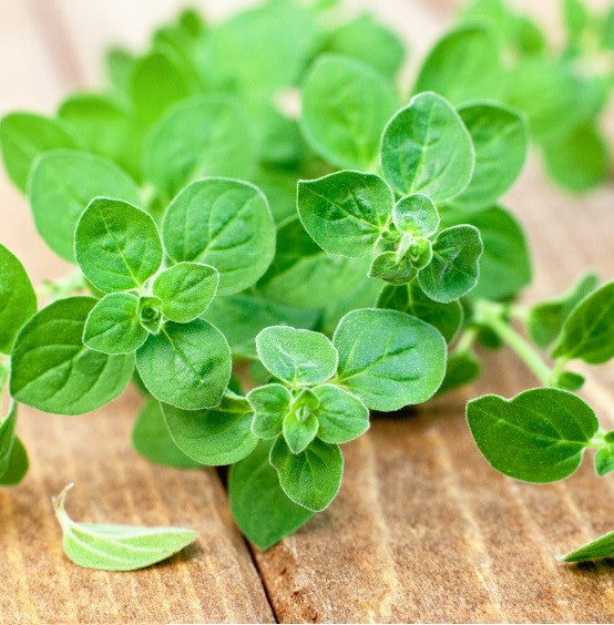 Oregano White Balsamic Vinegar - A Taste of Olive