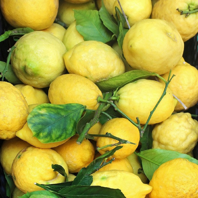 Sicilian Lemon White Balsamic Vinegar - A Taste of Olive